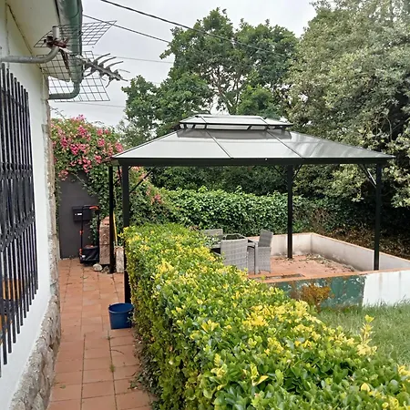 El Capricho De La Providencia *