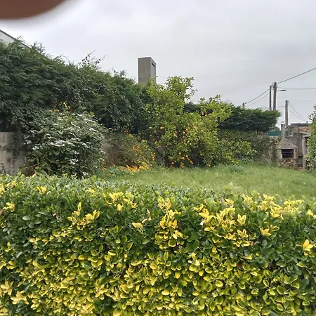 El Capricho De La Providencia * Gijón